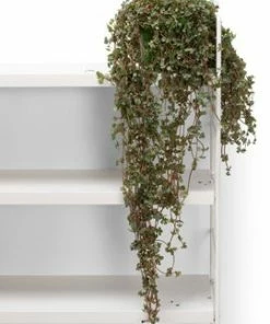 Alice & Fox Skrivebord Billie Med Oppbevaring -jollyroom Butikk 904213 8