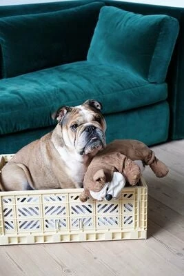 Aykasa Maxi Oppbevaringskasse, Melon 4 Aykasa Maxi Oppbevaringskasse, Melon - Bilde 4