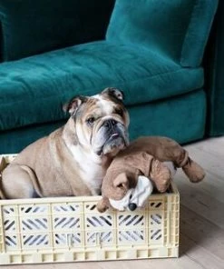 Aykasa Maxi Oppbevaringskasse, Pale Blue -jollyroom Butikk AYK87 4258 3c