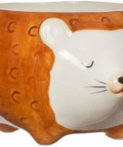 Sass & Belle Krukke, Pinnsvin